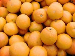 Plombier Orange